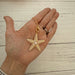 AB Crystal Starfish Toggle Necklace